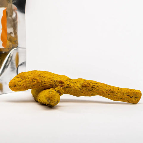 Turmeric Root